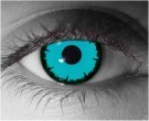  contact lenses