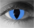  contact lenses