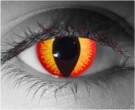  contact lenses