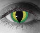  contact lenses