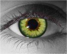  contact lenses