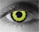  contact lenses