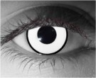  contact lenses