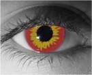  contact lenses