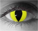  contact lenses