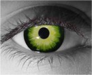  contact lenses