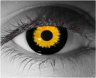  contact lenses