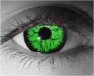  contact lenses