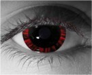  contact lenses