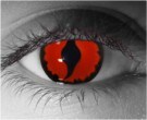  contact lenses