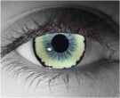  contact lenses