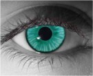  contact lenses