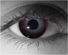  contact lenses