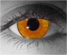  contact lenses