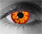  contact lenses