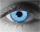  contact lenses