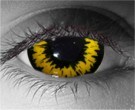  contact lenses
