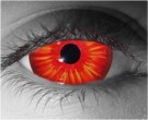  contact lenses