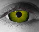  contact lenses