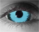  contact lenses
