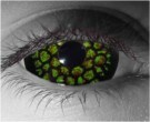  contact lenses