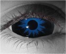  contact lenses