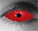  contact lenses
