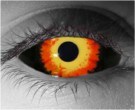  contact lenses