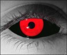  contact lenses