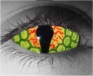  contact lenses