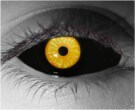  contact lenses