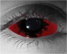  contact lenses