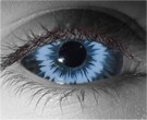  contact lenses