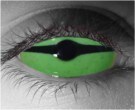  contact lenses