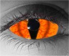  contact lenses