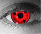  contact lenses