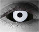  contact lenses