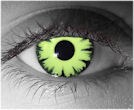  contact lenses