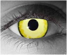  contact lenses