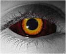  contact lenses