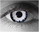  contact lenses