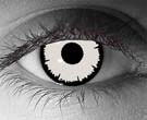  contact lenses