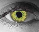  contact lenses