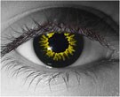  contact lenses