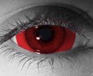  contact lenses