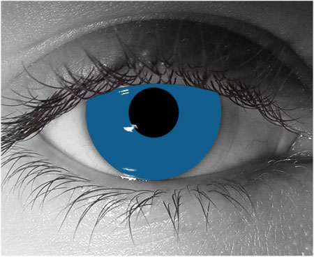  contact lenses