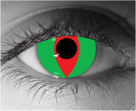  contact lenses