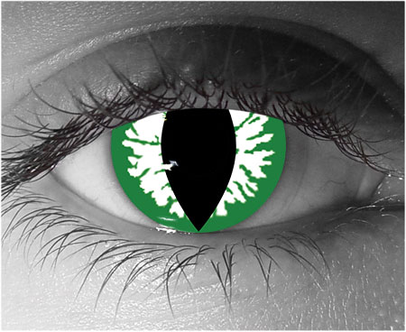  contact lenses