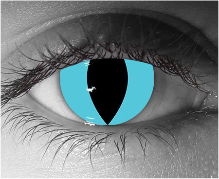  contact lenses