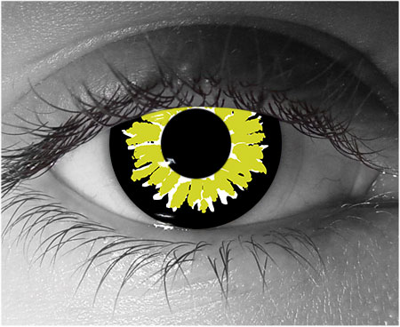  contact lenses